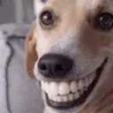 emoji_119