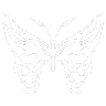 white_butterfly