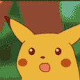 pika_stare