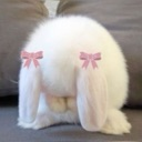 A fluffy white rabbit hiding its face behind its long ears which are adorned with small pink bows.