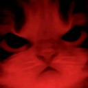 A close-up of a cat with a very angry expression, heavily tinted in dark red.