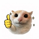Cat with wide eyes giving a yellow cartoon thumbs up gesture.