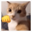 A cat with a yellow fist emoji positioned in front of it as if it is punching.