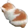 001orange