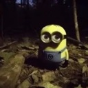 Minion standing in a dark, shadowy forest looking confused.