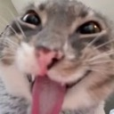 :emoji_20: