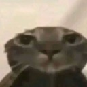 :emoji_29: