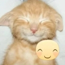 A ginger kitten with eyes closed in a happy smile next to a small yellow smiling face icon.
