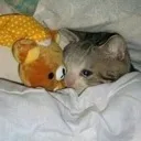 emoji_16