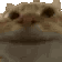bCat_yes Discord emoji
