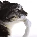 mmmmh