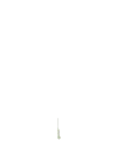GrowAThinkingTree animated Discord emote from 📚 𝗧𝗛𝗘 𝗔𝗥𝗖𝗛𝗜𝗩𝗘𝗦 𝗢𝗙 𝗛𝗢𝗟𝗠𝗘