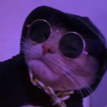 CattoWithGlassesRegular Discord Emoji - 📚 𝗧𝗛𝗘 𝗔𝗥𝗖𝗛𝗜𝗩𝗘𝗦 𝗢𝗙 𝗛𝗢𝗟𝗠𝗘