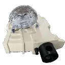 attack_seal