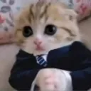 :kat_buisness: