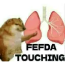 fefdatouching