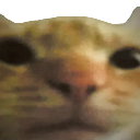 cat custom emote from 🔥 Empire Of Purblicians 🔥