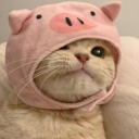 cat_z_cute custom emote - ‧₊˚✧ A Night Full of Stars ✧˚₊‧
