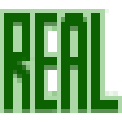 The word REAL written in a blocky, green pixelated font against a black background.