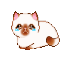 emoji_11 animated Discord emote | 𑣲⋆Passion
