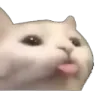 BE_CatTongue custom emote from Aeris
