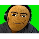 kiwi_are_you_serious_right_now