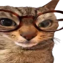 O_cat_glasses custom emote from #outcasts