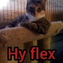 :HyFlex: HyFlex
