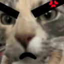 reallyangry