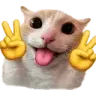 peace_cat Discord emoji