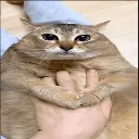 emoji_4