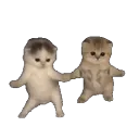 kittieswiggle