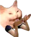 memescat