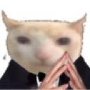 :cat: