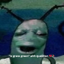 A distorted, green-skinned face with closed eyes and an open mouth looking confused.