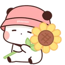 kanu_without_gf
