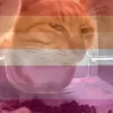 lesbian