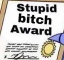 Stupidbitchaward