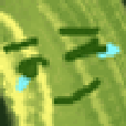 crying Discord emoji