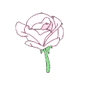 :flower: