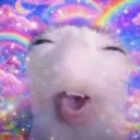 dog_happy