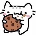 cookie
