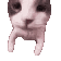 A close-up, wide-angle shot of a cat face leaning forward as if to give a kiss.