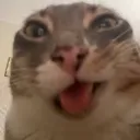 emoji_22