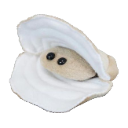 clam Discord emoji