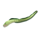 eel Discord emoji