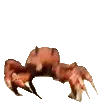 CrabRave