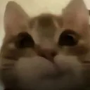 hmph