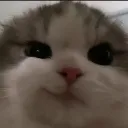 heh
