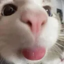 bleh